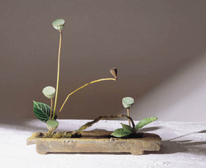 2001中華插花藝術展─世代謳歌