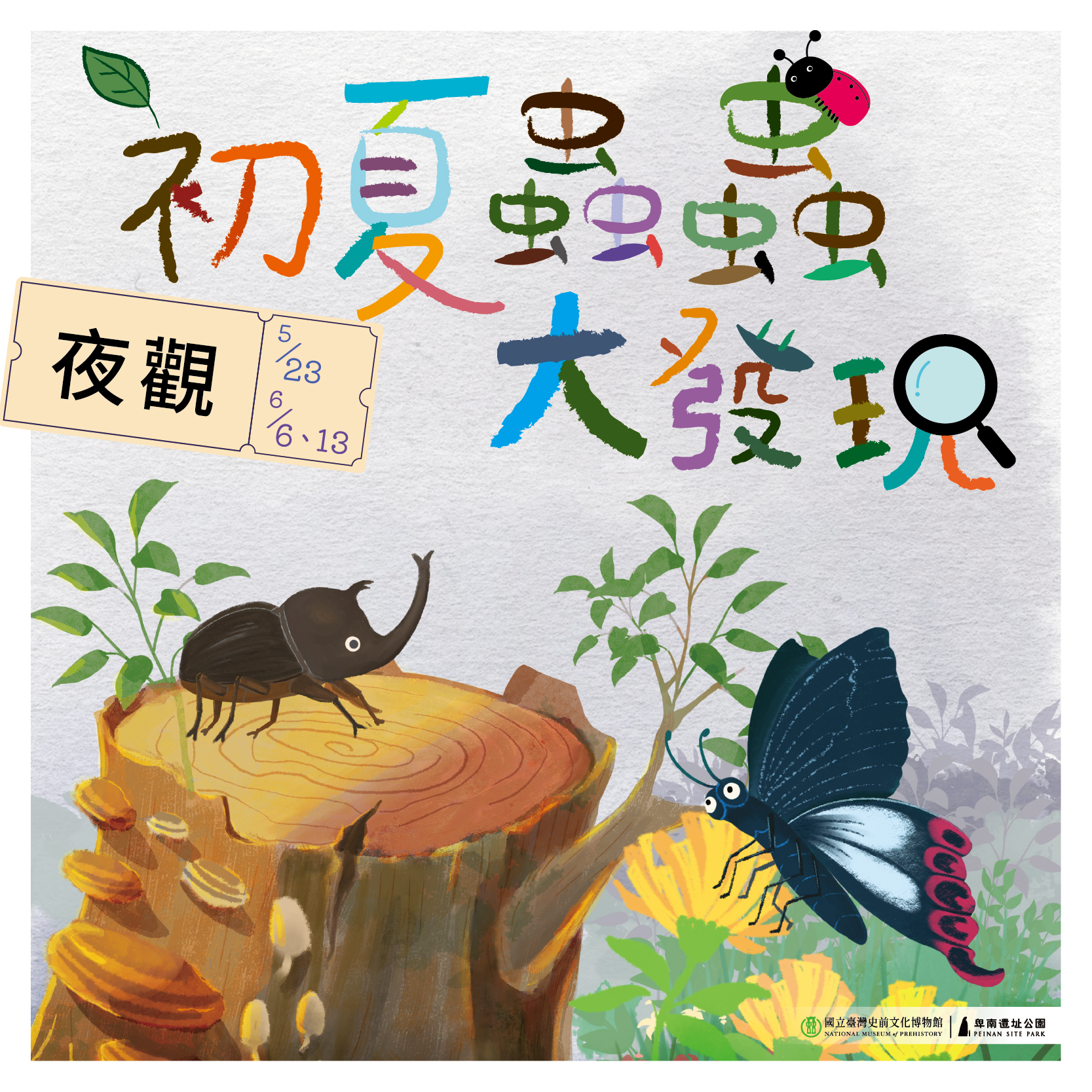【自然生態觀察主題活動】初夏蟲蟲大發現