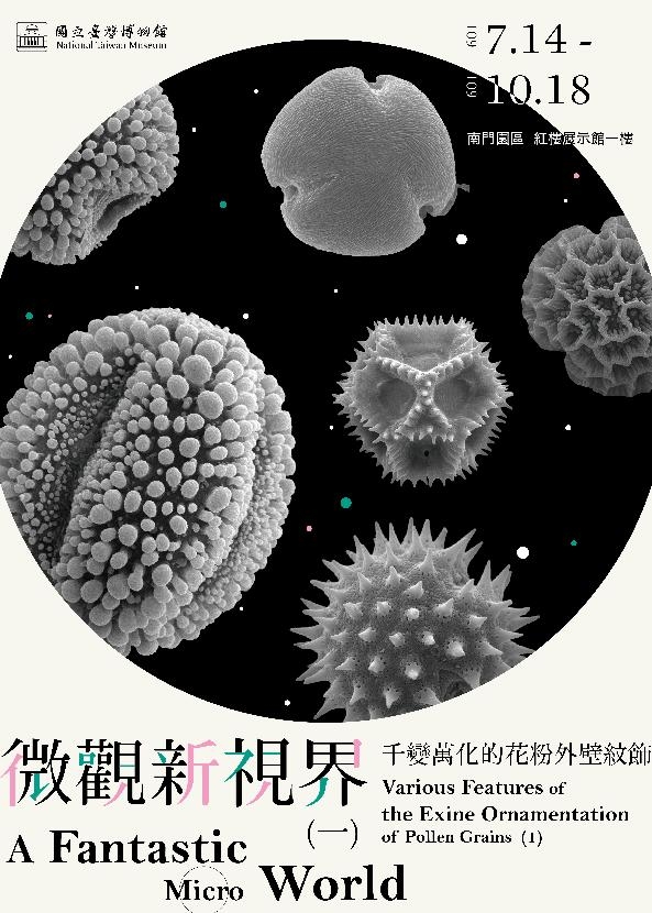 A Fantastic Micro World－ Various Features of the Exine Ornamentation of Pollen Grains (I)
