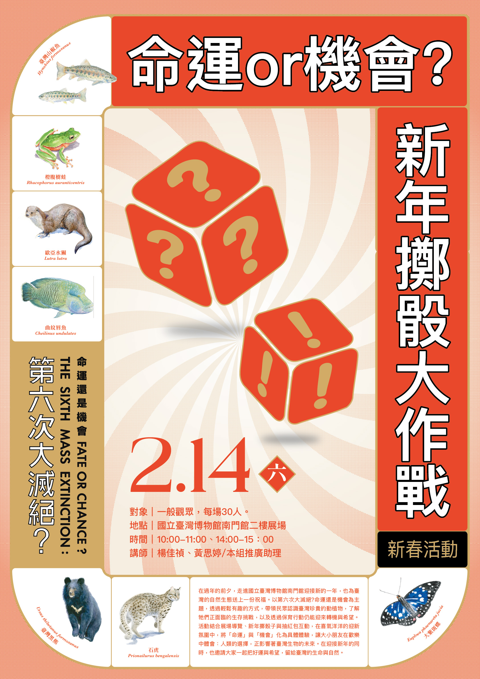 命運or機會?新年擲骰大作戰