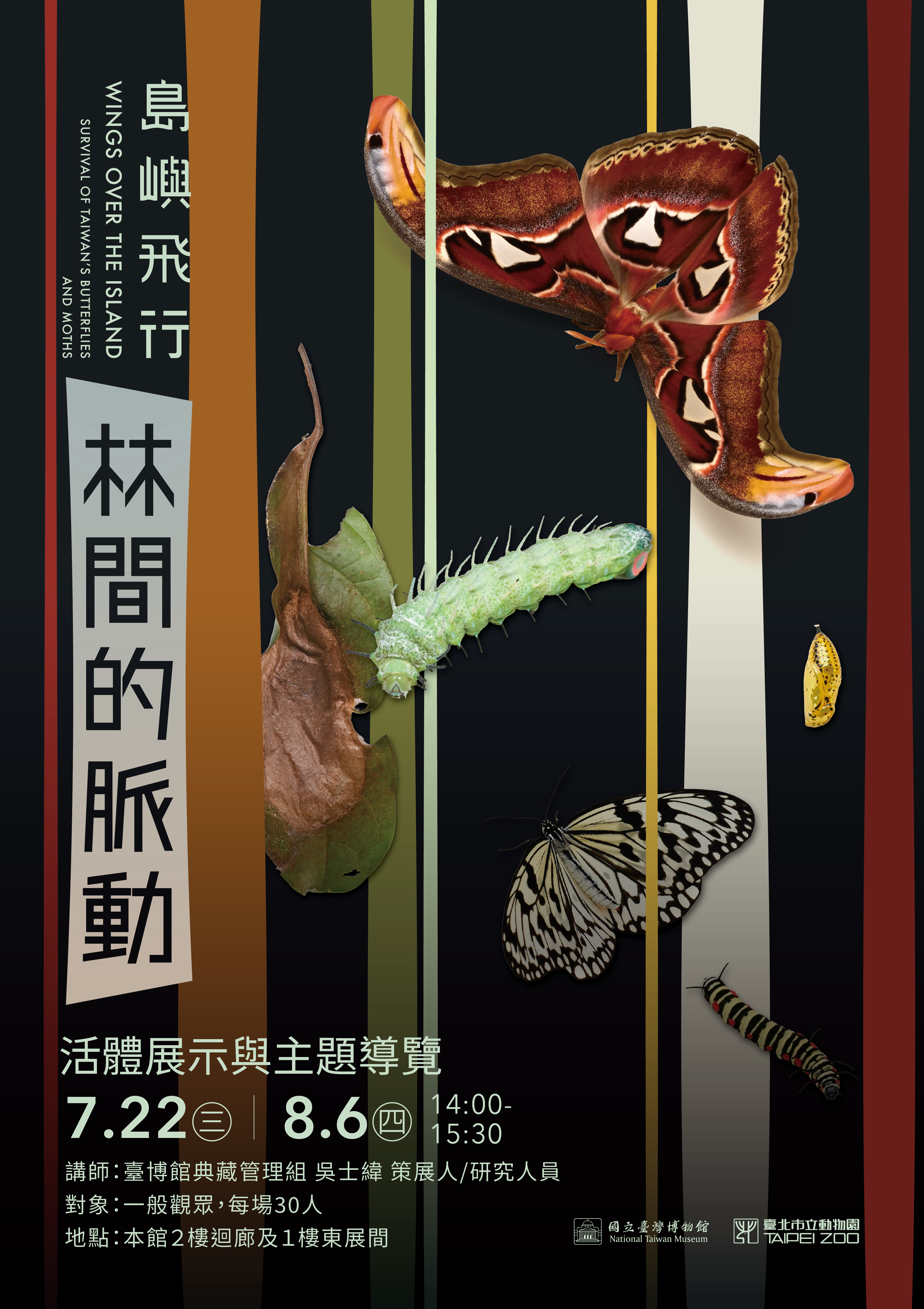 【島嶼飛行】林間的脈動：活體展示與主題導覽（7-8月）