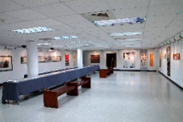 青溪新文藝106年金環獎美展