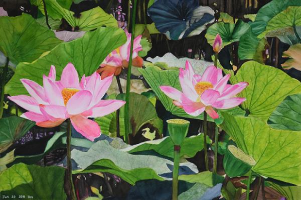 Lotus Fun—Tain Jing-jing Solo Exhibition