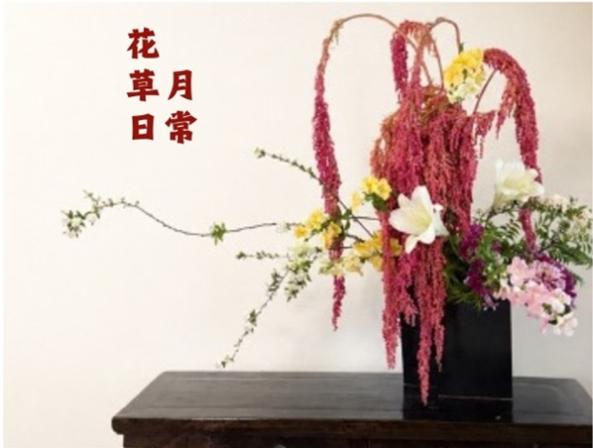 花、草月、日常
