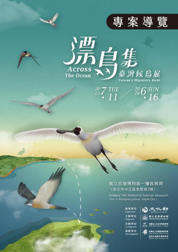 「漂鳥集—臺灣候鳥展」專案導覽