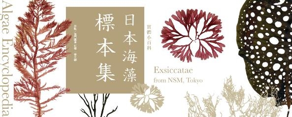 Ensiklopedia Alga Spesimen Herbarium dari NSM, Tokyo