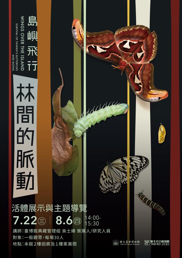【島嶼飛行】林間的脈動：活體展示與主題導覽（7-8月）