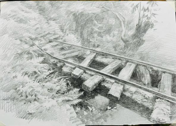 Yang Sheng Hong - Sketching Class Alumni Exhibition